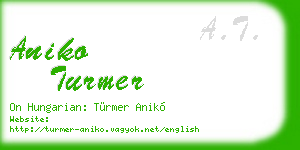 aniko turmer business card