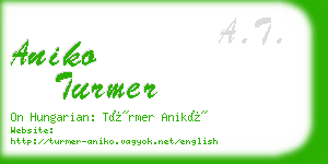 aniko turmer business card